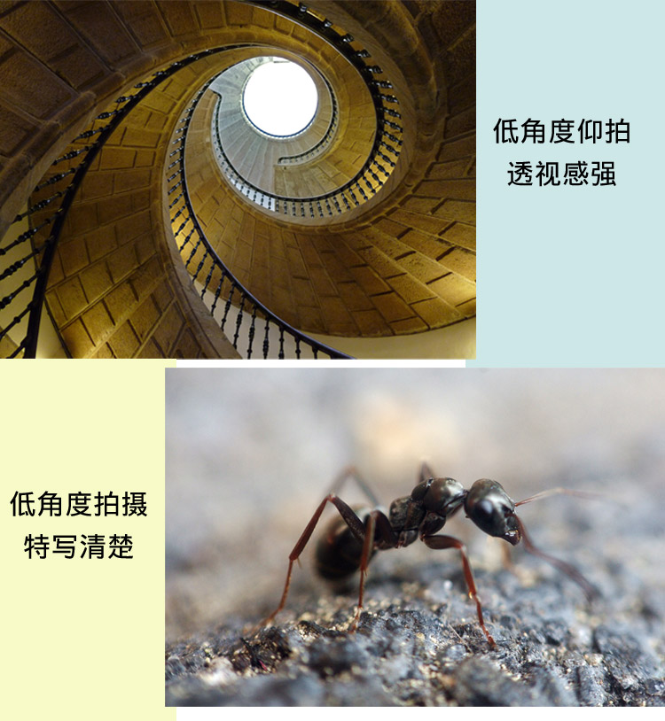 A258Q2摄影三脚架(图5)