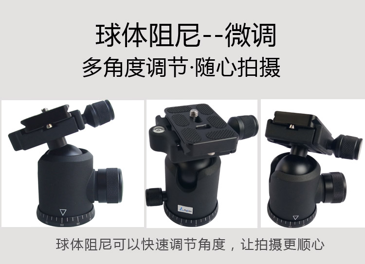 A258Q2摄影三脚架(图10)