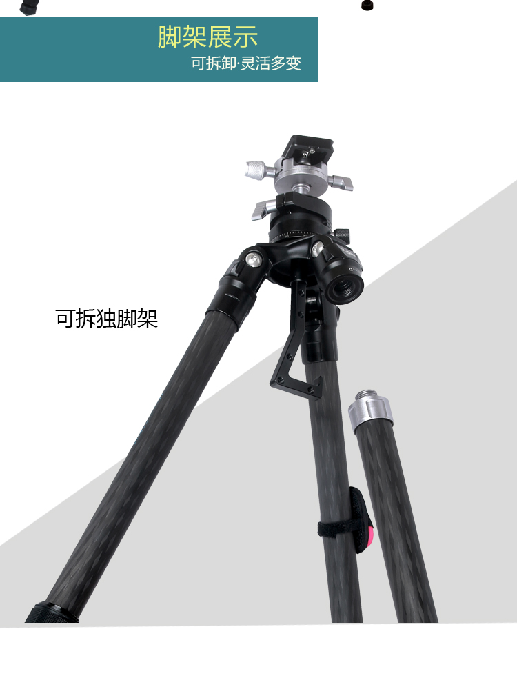 C18K1摄影三脚架(图7)