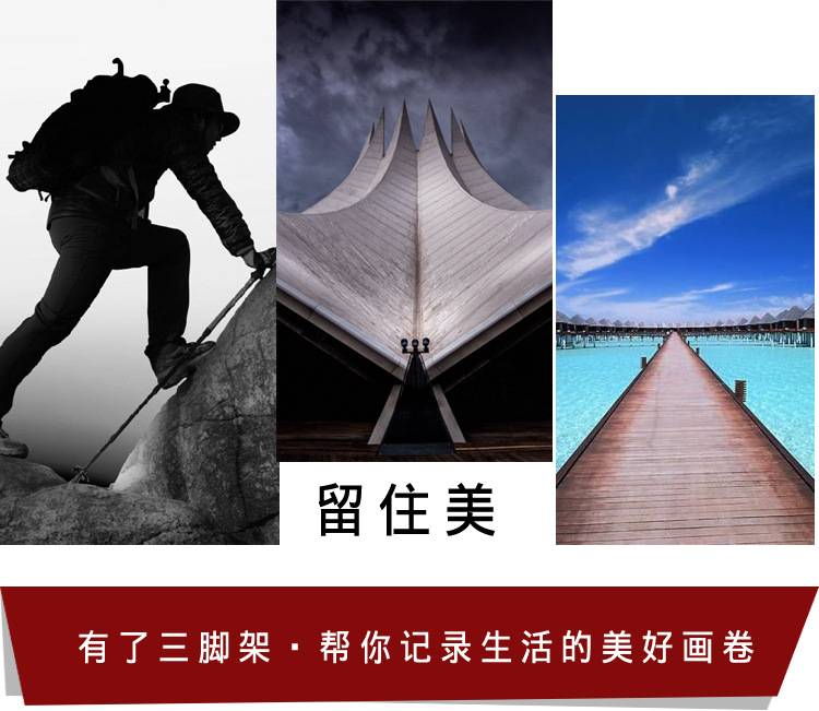 M3摄影三脚架(图10)