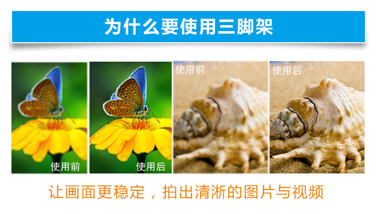 M6C迷你摄影三脚架(图10)