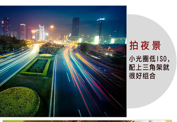 M8摄影三脚架(图9)