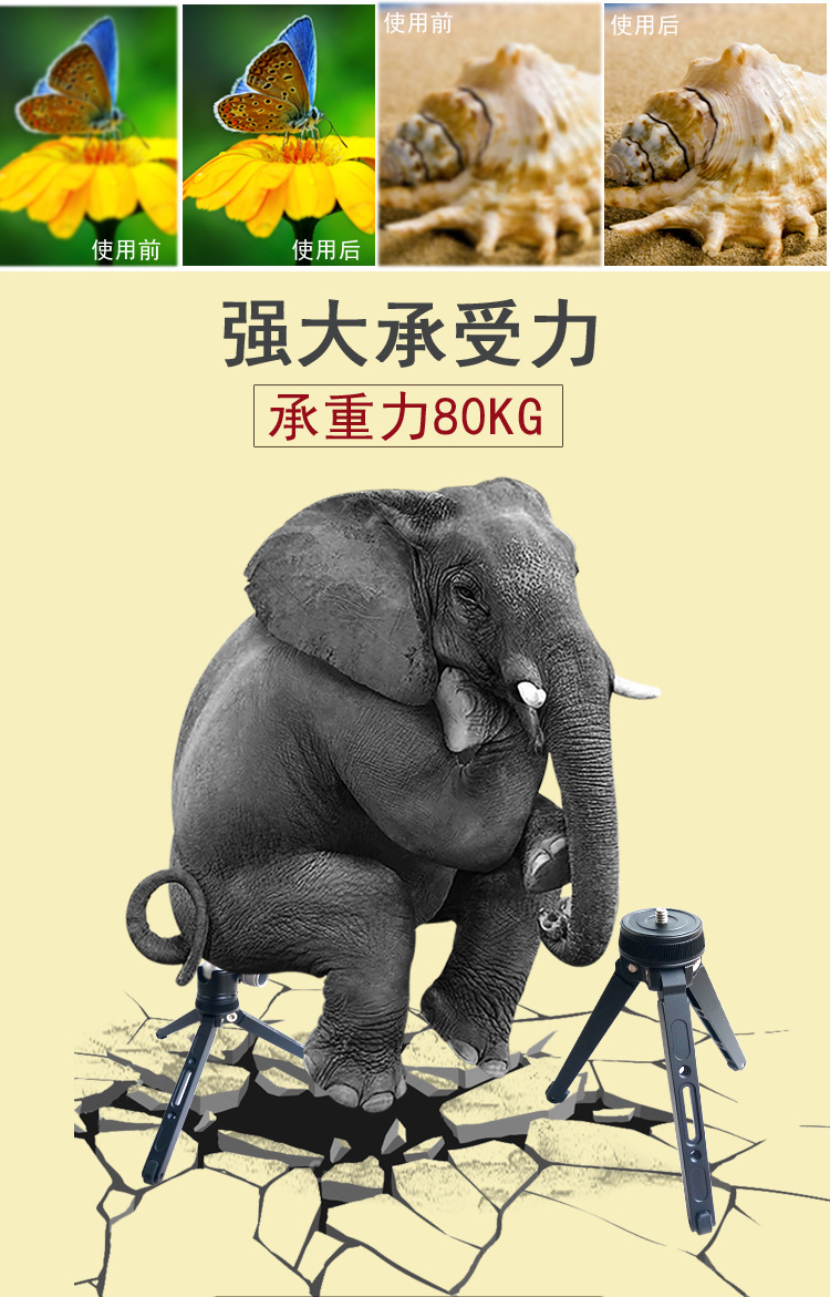 M18迷你摄影三脚架(图2)