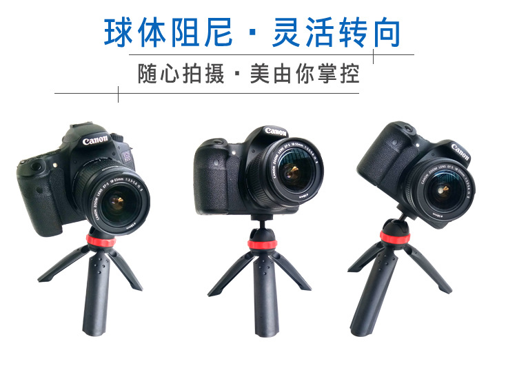 M168迷你摄影三脚架(图3)
