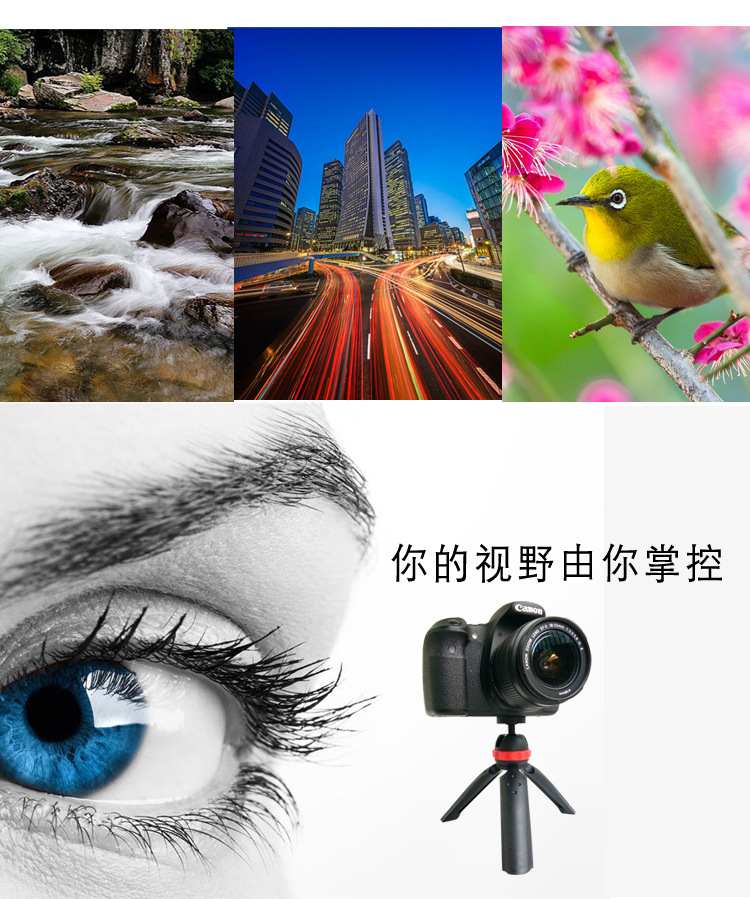 M168迷你摄影三脚架(图6)
