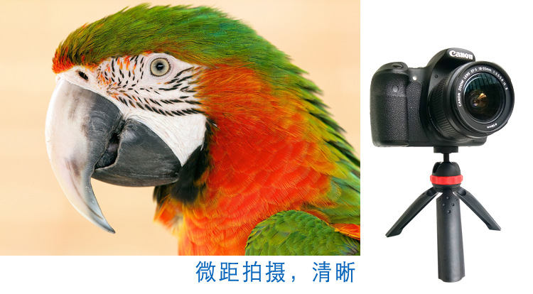 M168迷你摄影三脚架(图5)