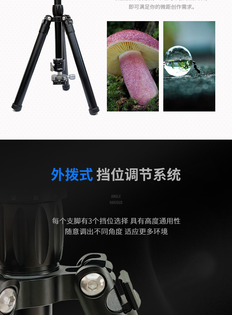 M188迷你摄影三脚架(图7)
