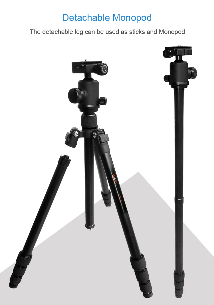 A258Q2tripod(图5)