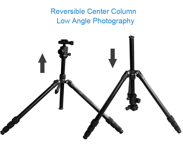 A258Q2tripod(图4)