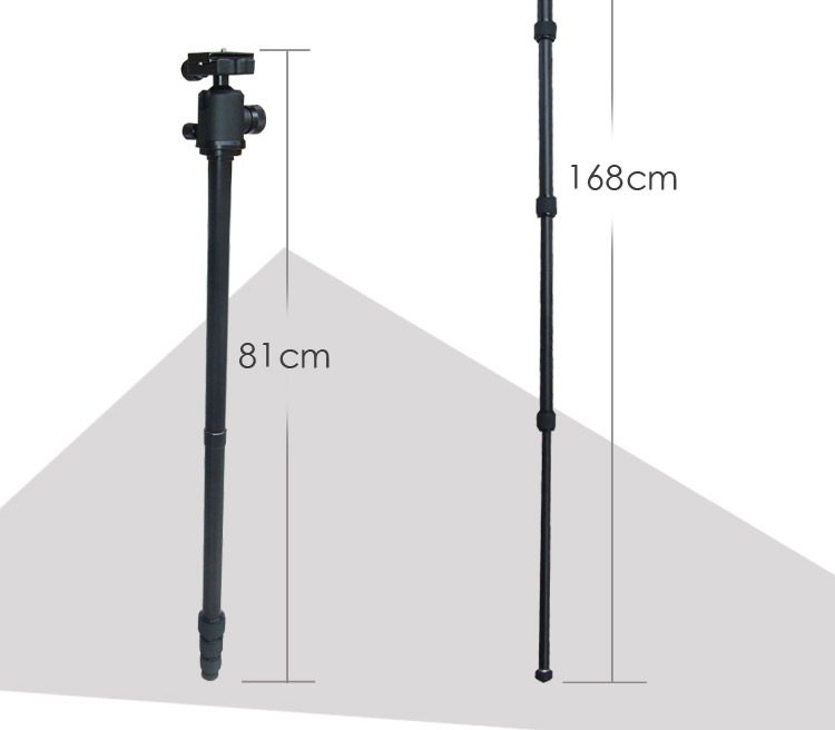 A258Q2tripod(图8)