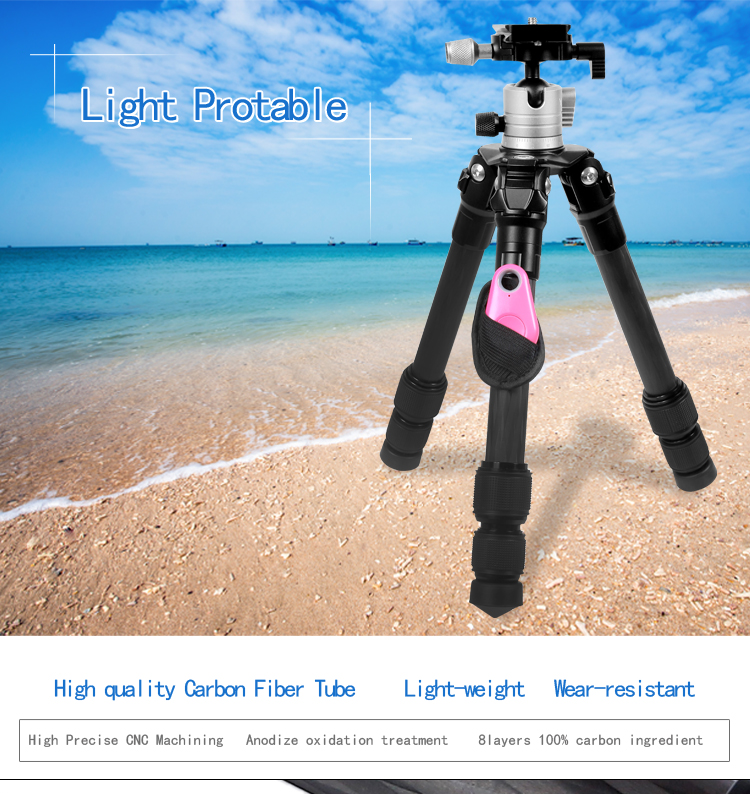 C08V0tripod(图1)