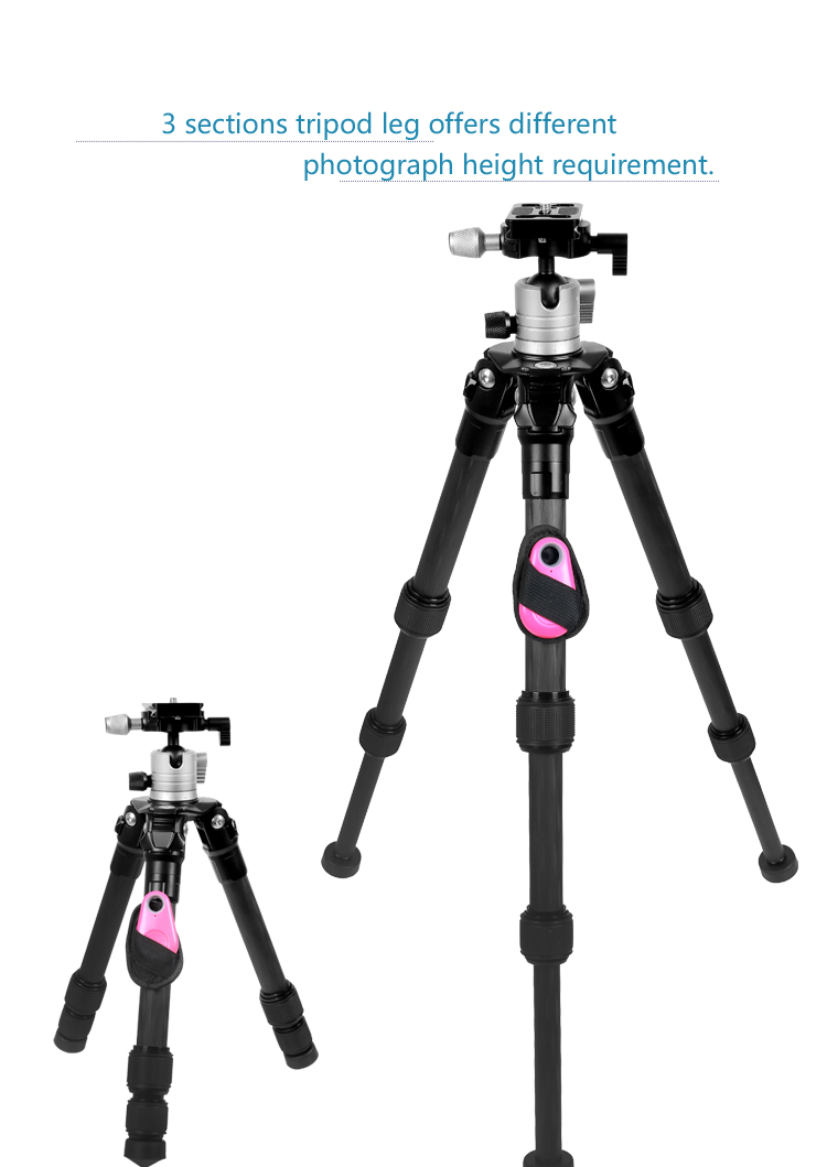 C08V0tripod(图7)