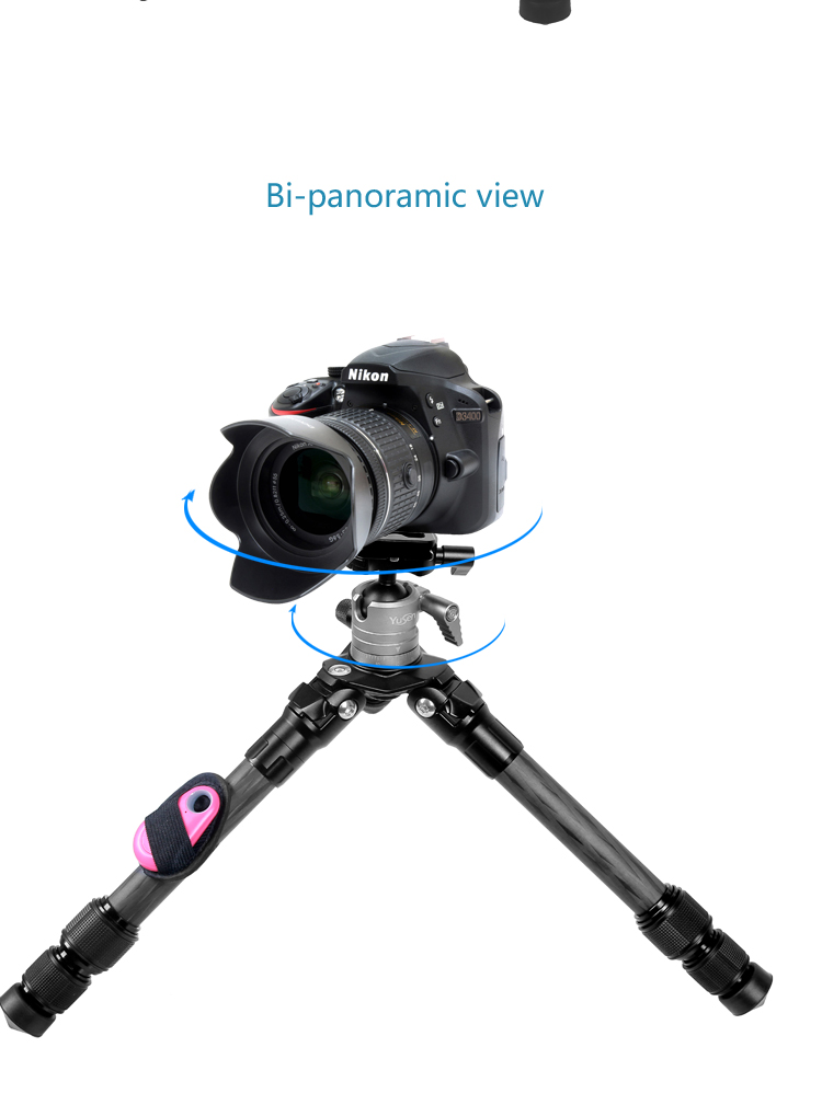 C08V0tripod(图8)