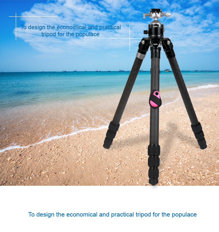 C28H2tripod(图1)