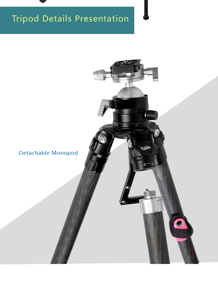 C28H2tripod(图8)