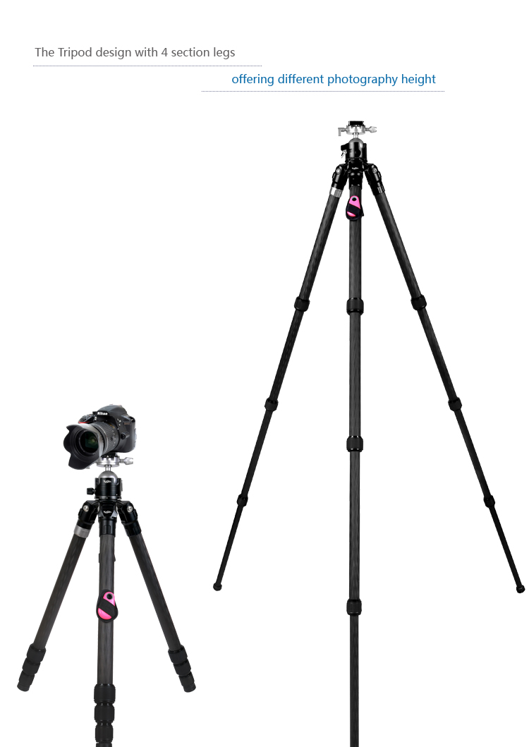 C28H2tripod(图7)