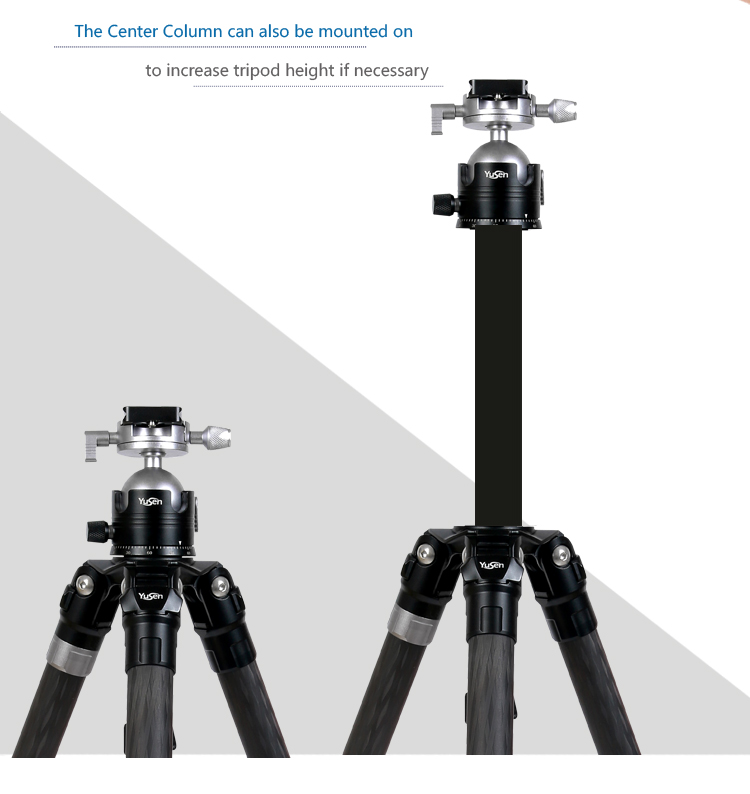 C28H2tripod(图6)