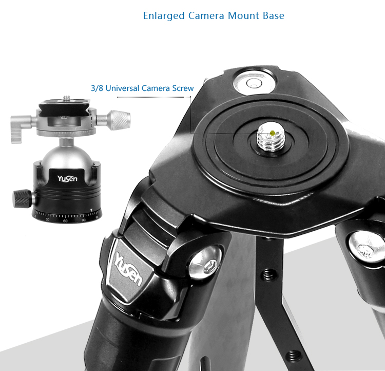 C28H2tripod(图9)