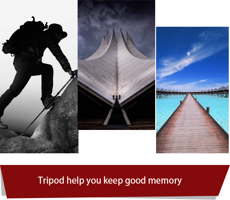 M3 Photography tripod(图10)