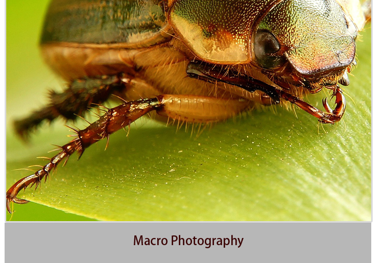 M3 Photography tripod(图12)