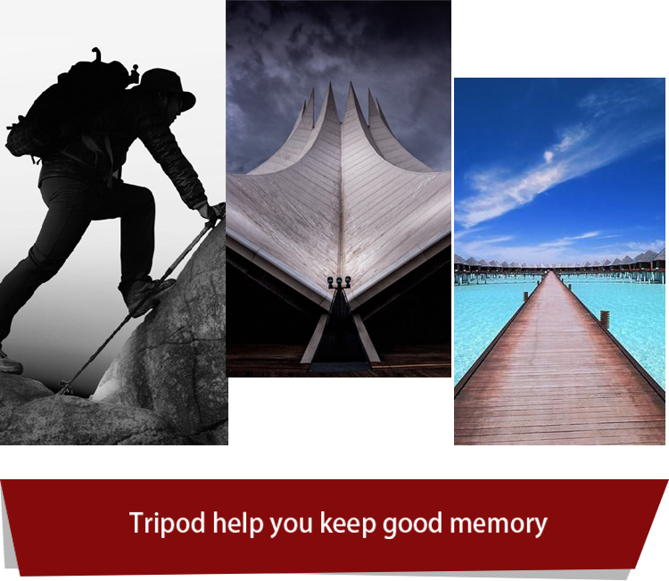 M8 Photography tripod(图10)