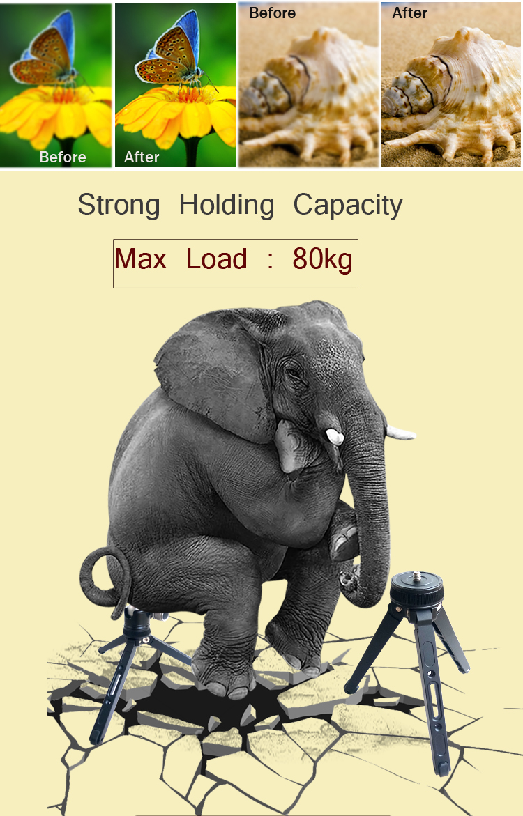 M18 Photography tripod(图2)