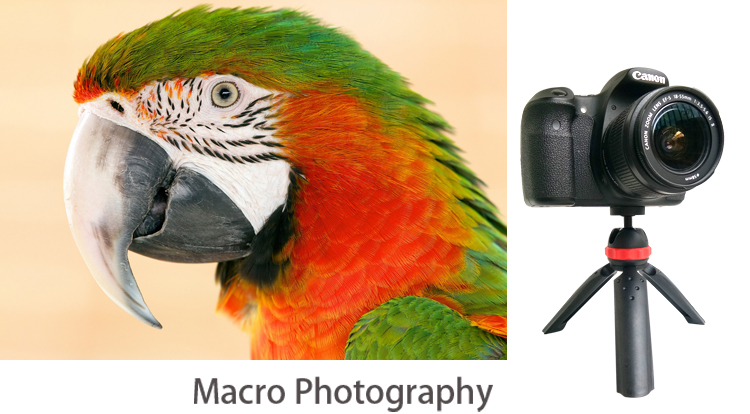 m168 Photography tripod(图5)