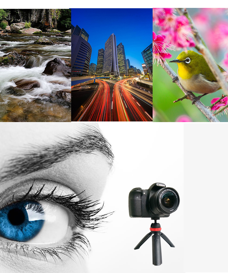 m168 Photography tripod(图6)